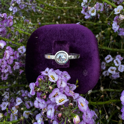 Starlight Rose Engagement & Promise Ring